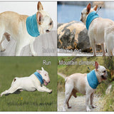 Load image into Gallery viewer, Wholesale Instant Cooling Pet Bandana-Dog Scarf Summer Cooling Towel Wrap Dog Collar for Bulldog Puppy Cats etc