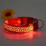 Load image into Gallery viewer, Bulk LED USB Rechargeable Pet Night Safety Collar