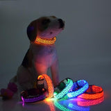 Load image into Gallery viewer, Bulk LED USB Rechargeable Pet Night Safety Collar